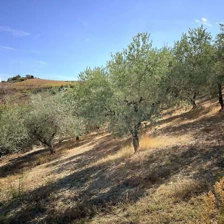 Casa Corbezzolo Abruzzo Holiday home *