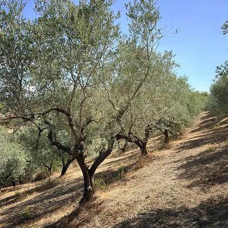 Holiday home Casa Corbezzolo Abruzzo Bozza